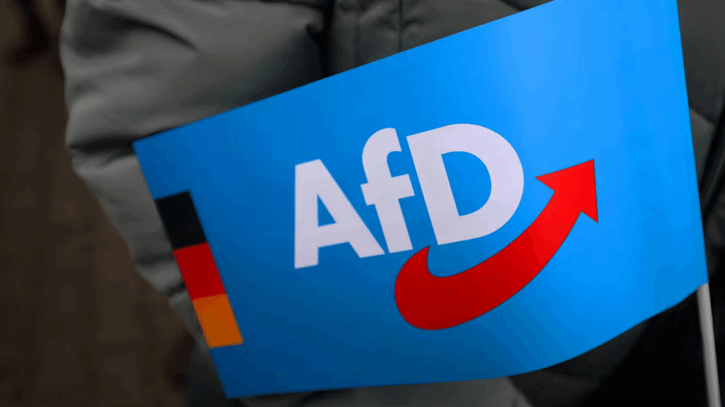 Banning the AfD targets a symptom, not the cause – The Left Berlin