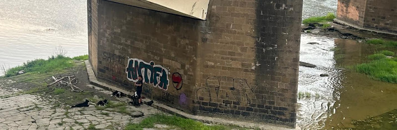 Antifa graffiti on a brick wall